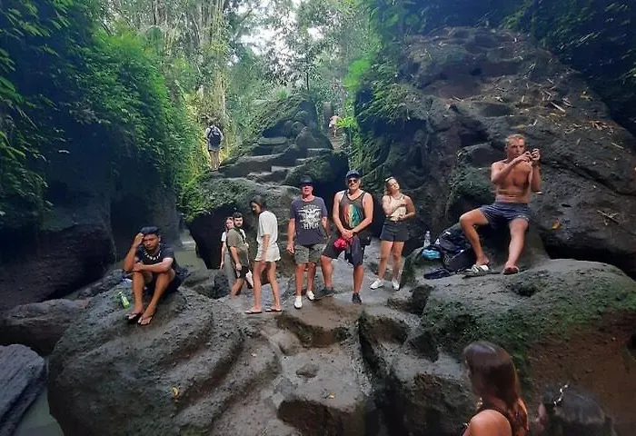 Widia Bali Full Day Tour And Airport Transport *