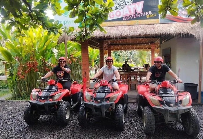 Widia Bali Full Day Tour And Airport Transport *